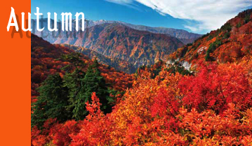 Hakusan Super Rindo Forest Road, famous for its fall colors