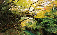 Kourogi Bridge in Kakusen-kei Gorge